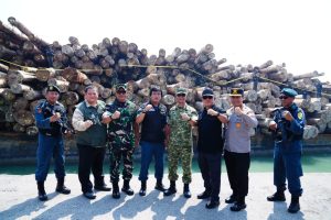Kasum TNI Tinjau Keberhasilan Satgas PKH Amankan Ribuan Kubik Kayu Ilegal      