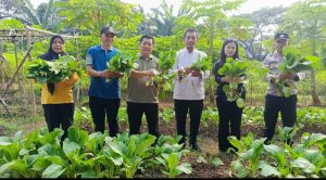 Panen Sawi, Terong, dan Kangkung di Duri Kosambi, Kebersamaan Warga dan Polisi Dukung Ketahanan Pangan