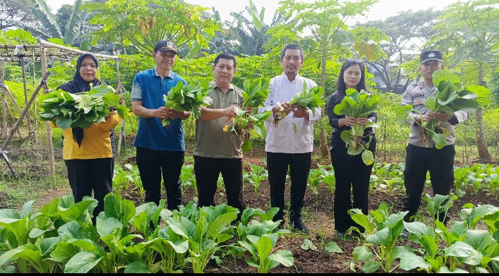 Panen Sawi, Terong, dan Kangkung di Duri Kosambi, Kebersamaan Warga dan Polisi Dukung Ketahanan Pangan